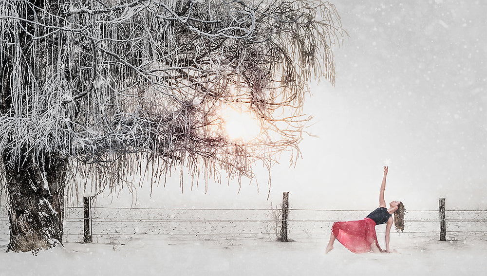 Snow Ballet - Meg Bitton Productions