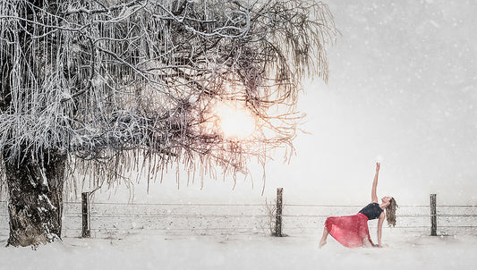 Snow Ballet - Meg Bitton Productions