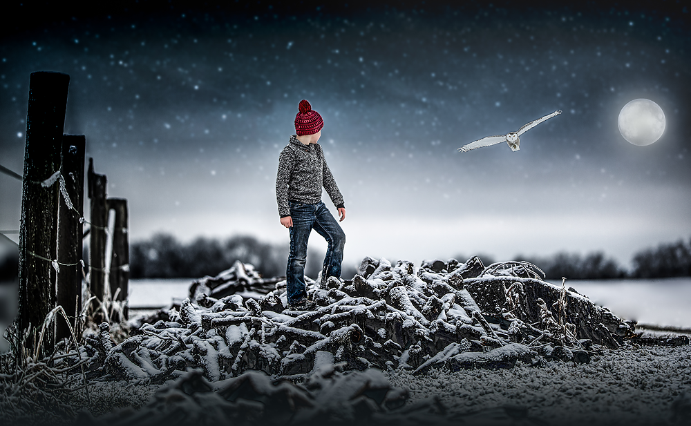 Snow Owl - Meg Bitton Productions