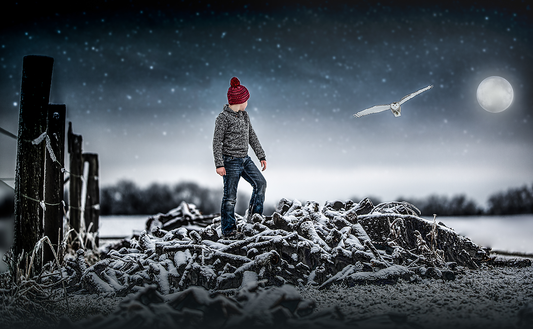 Snow Owl - Meg Bitton Productions