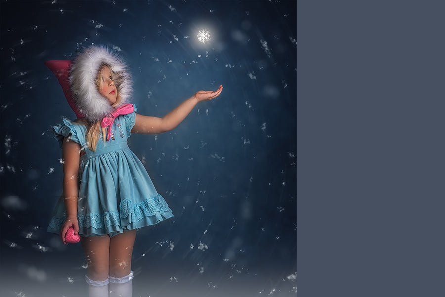 Snow Wishes - Meg Bitton Productions
