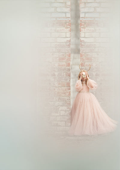 Soft Contradictions - Meg Bitton Productions
