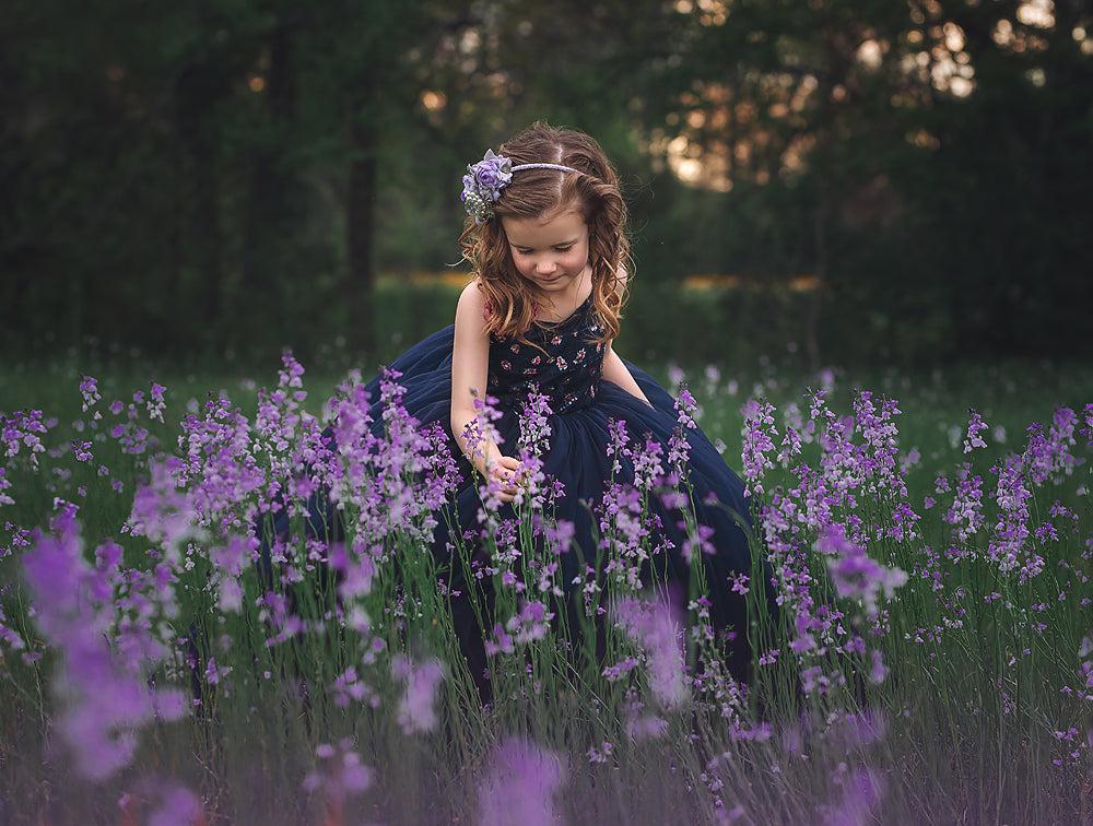 Springtime Violet - Meg Bitton Productions