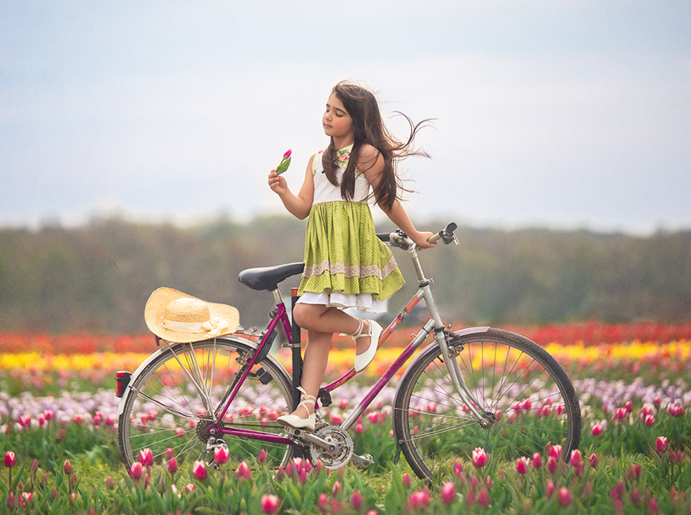 Spring Tulips - Meg Bitton Productions