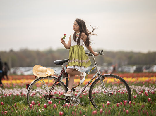 Spring Tulips - Meg Bitton Productions