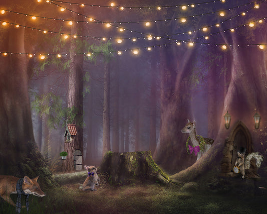 Storytime in the Forest - Meg Bitton Productions
