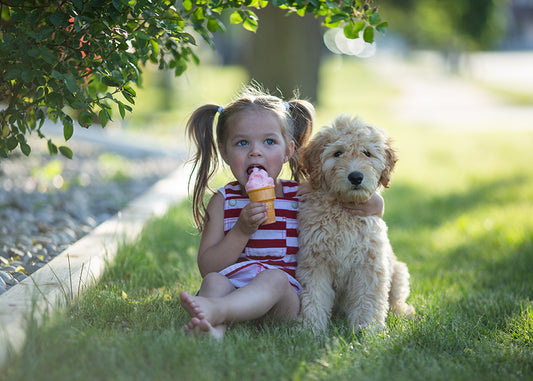 Summer Days - Meg Bitton Productions
