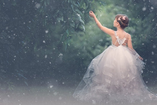 Summer to Winter Snow - Meg Bitton Productions