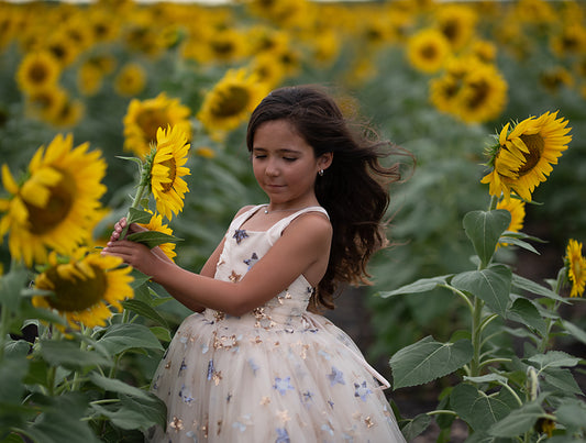 Sunflower Magic - Meg Bitton Productions