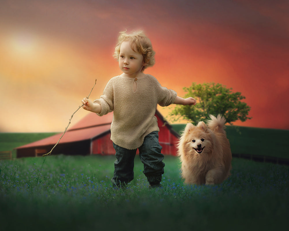 Sunset Stroll - Meg Bitton Productions