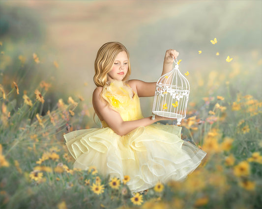 The Birdcage - Meg Bitton Productions