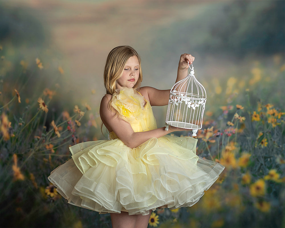 The Birdcage - Meg Bitton Productions