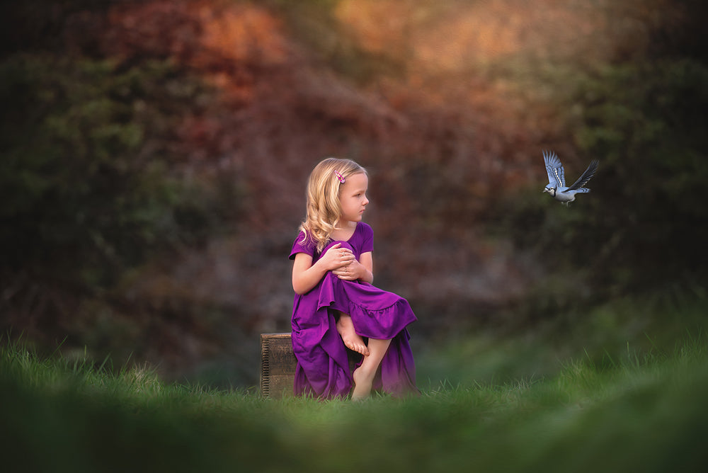 The Blue Jay - Meg Bitton Productions