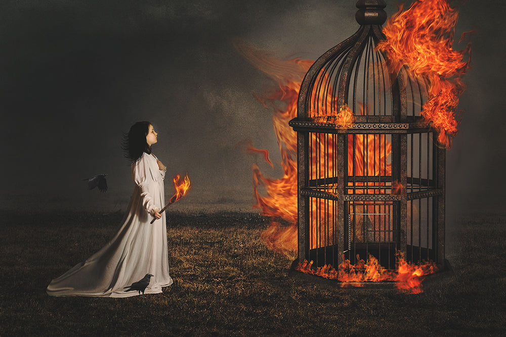 The Burning - Meg Bitton Productions