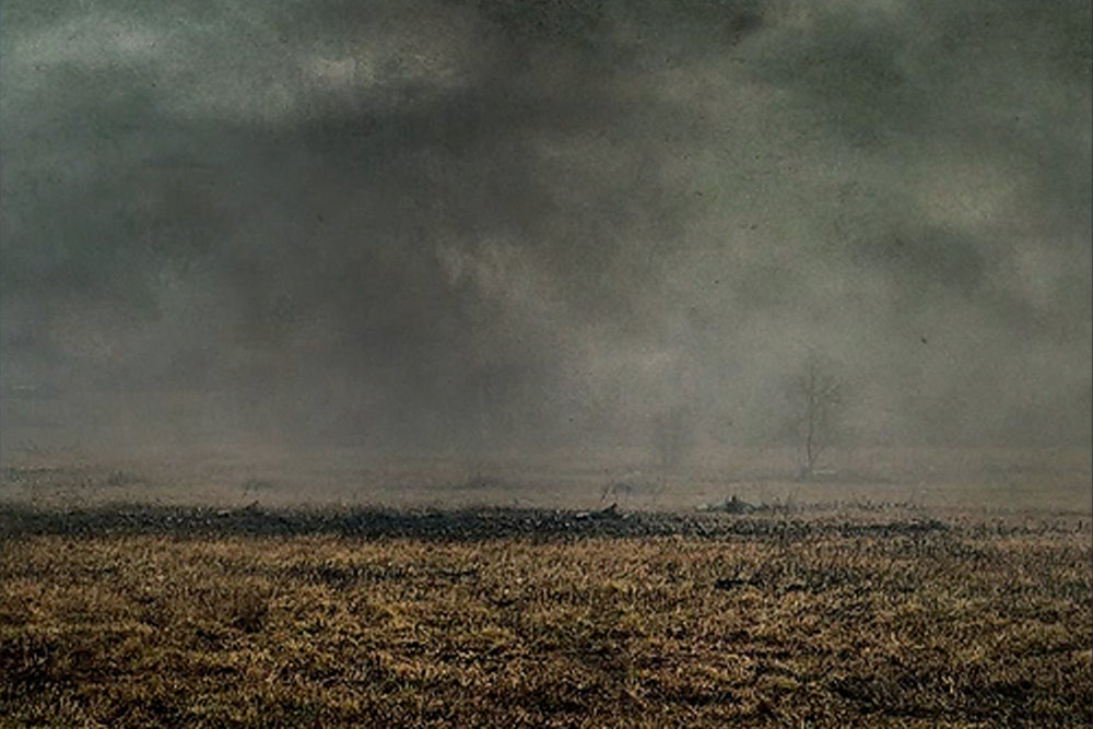 The Burning - Meg Bitton Productions
