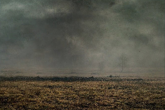 The Burning - Meg Bitton Productions