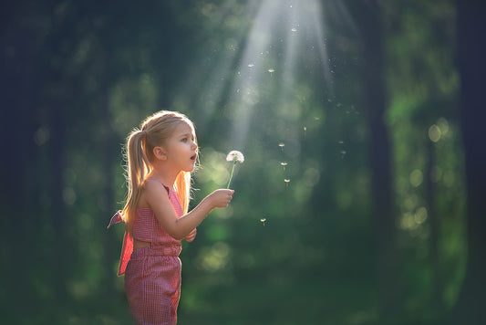 The Dandelion - Meg Bitton Productions