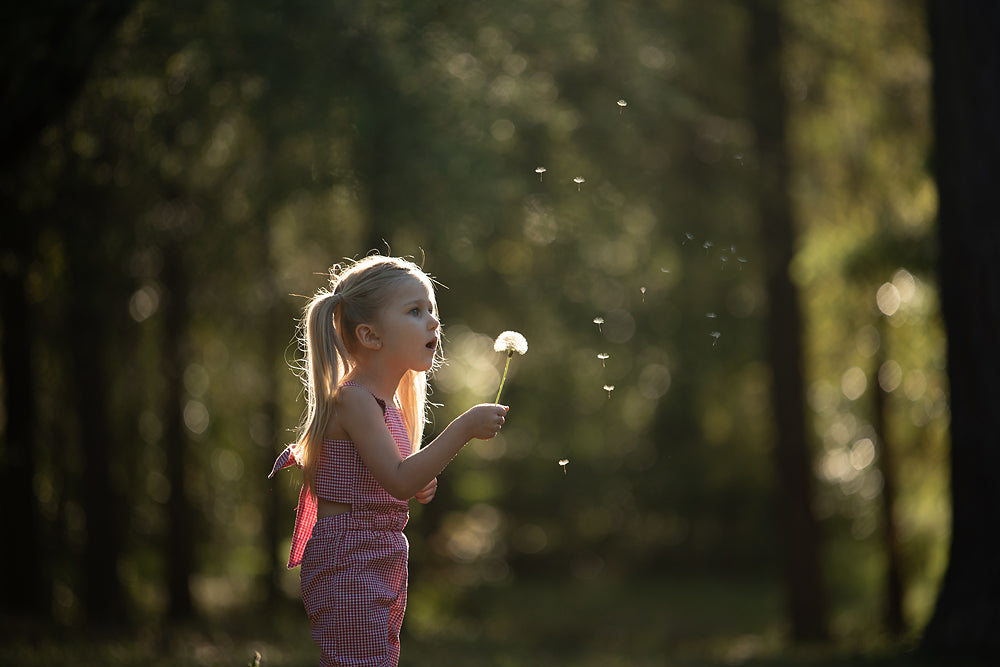 The Dandelion - Meg Bitton Productions