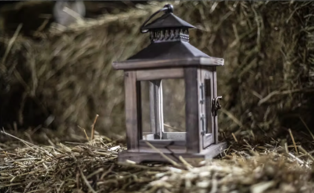 The Lantern - Meg Bitton Productions