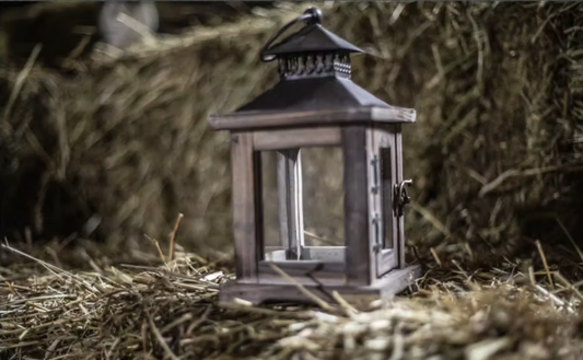 The Lantern - Meg Bitton Productions