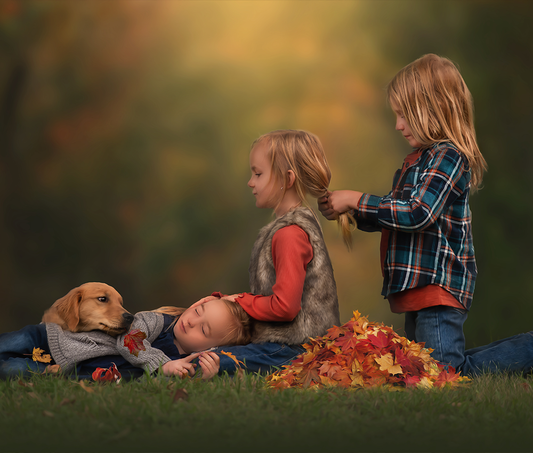 The Leaf Pile - Meg Bitton Productions