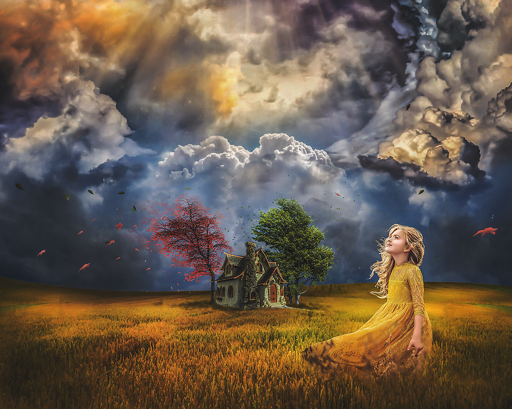 The Longing - Meg Bitton Productions