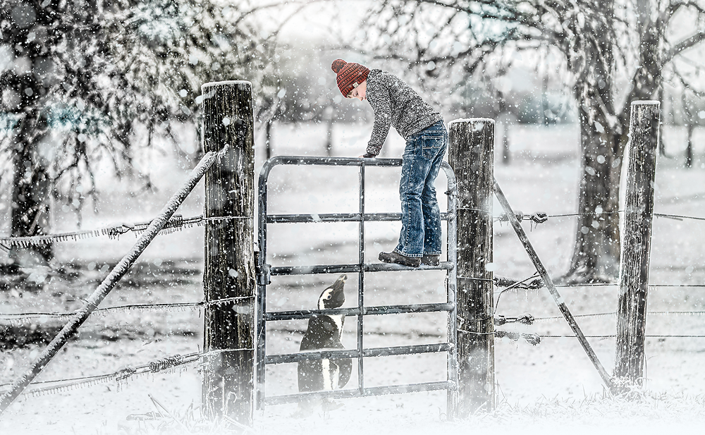 Winter Visitor - Meg Bitton Productions