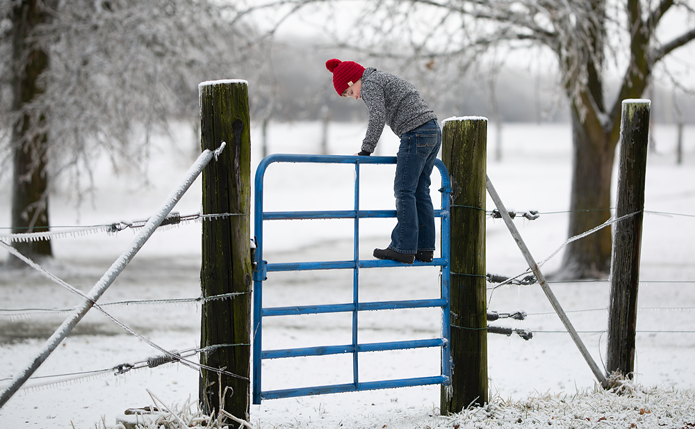 Winter Visitor - Meg Bitton Productions