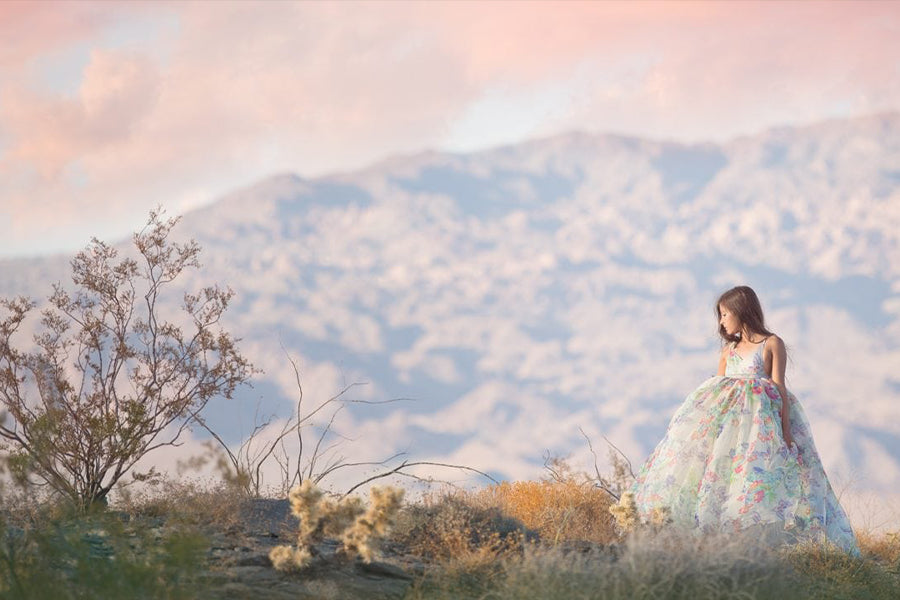 Top of the World - Meg Bitton Productions