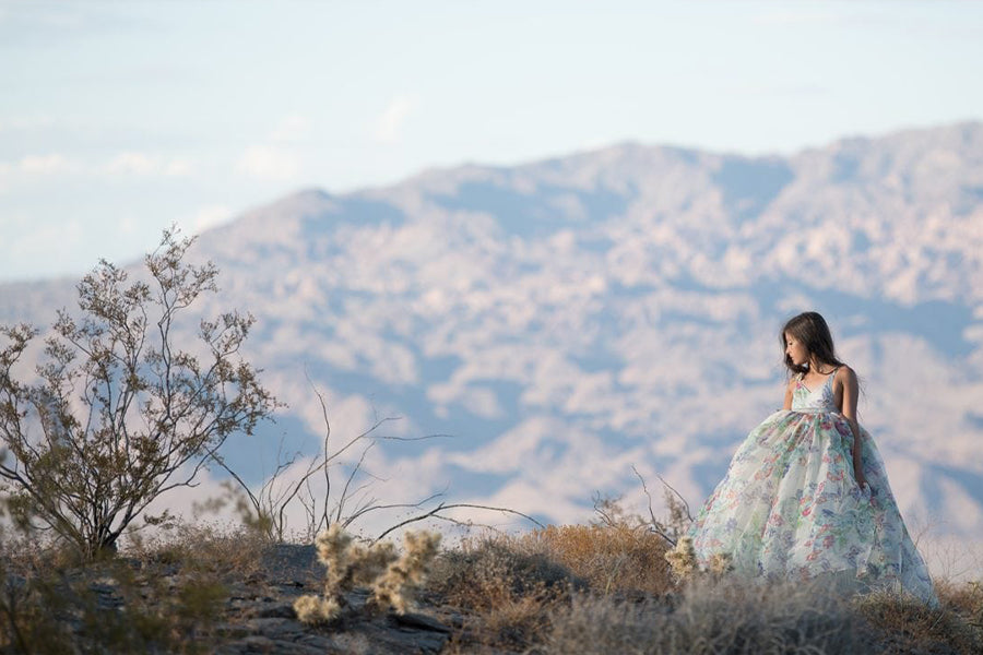 Top of the World - Meg Bitton Productions