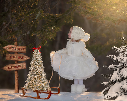 To Santa's House - Meg Bitton Productions