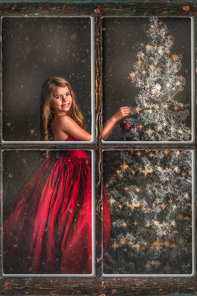 Trimming the Tree - Meg Bitton Productions