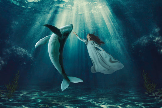 Whale Dance - Meg Bitton Productions