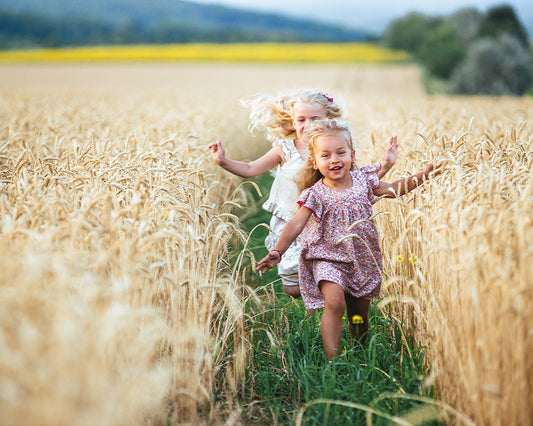 Five Minute Edit: Wheat Field Sunset - Meg Bitton Productions
