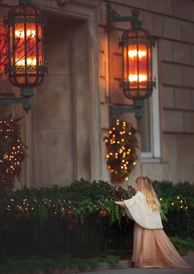 Winter in the City - Meg Bitton Productions
