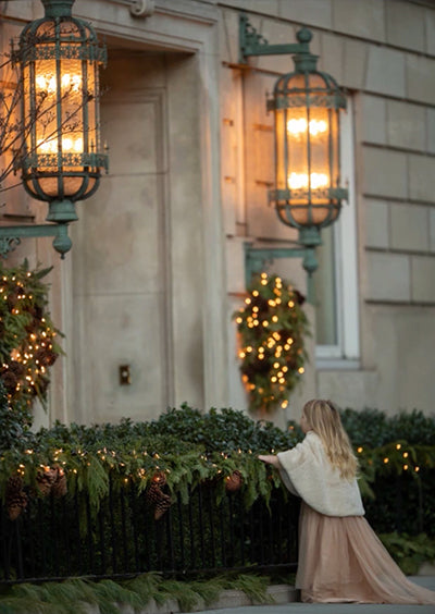 Winter in the City - Meg Bitton Productions