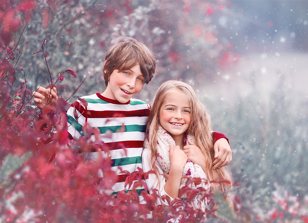 Winter Woodland - Meg Bitton Productions